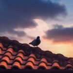 Tutoriel : comment descendre les tuiles d’un toit en toute sécurité ?