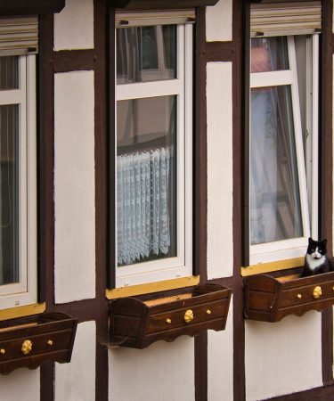 4_avantages_de_faire_construire_une_maison_en_bois_à_Vannes