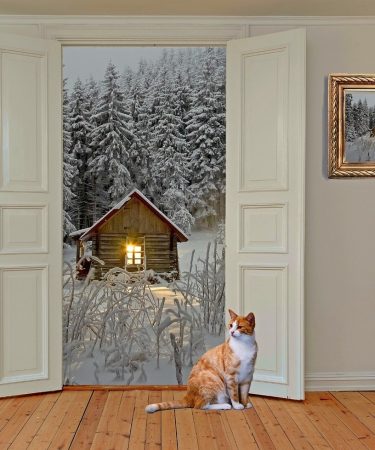 Comment_choisir_la_meilleure_porte_d_entrée_pour_votre_maison