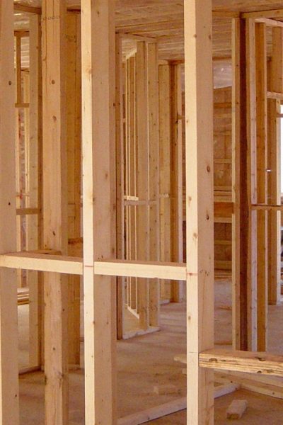 Pourquoi faire construire une maison en bois ?