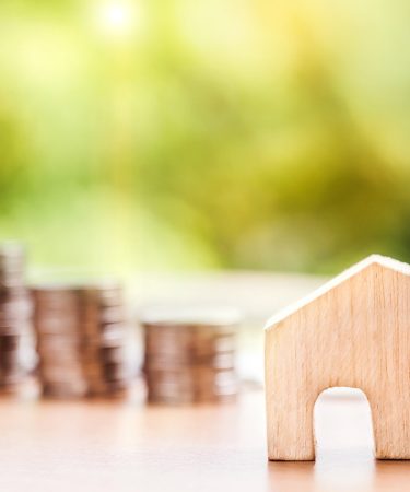 Pourquoi la maison bois et passive pourrait-être bientôt la vôtre ?
